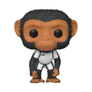 #1119 Baby Pogo