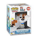 #764 Max with Cone