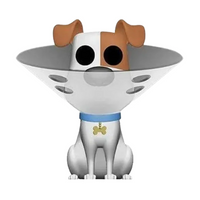 #764 Max with Cone