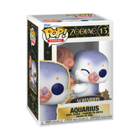 #13 Aquarius