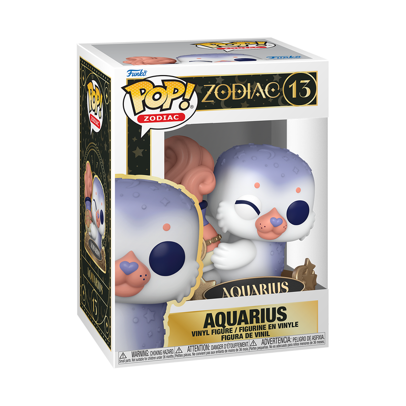 #13 Aquarius
