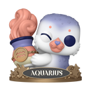 #13 Aquarius