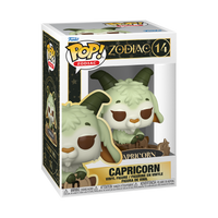 #14 Capricornio