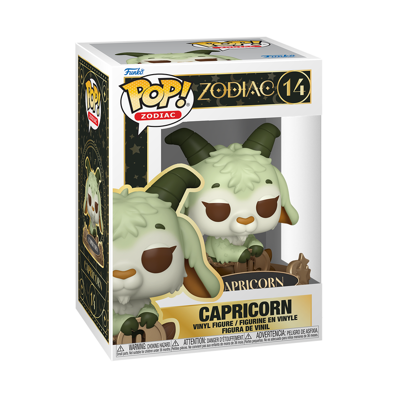 #14 Capricornio