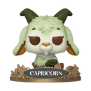 #14 Capricornio