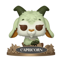 #14 Capricornio
