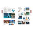 Encyclopedia The Legend of Zelda - EPIKKO Videojuegos