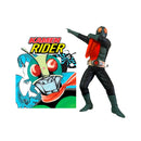 Art Toys Kamen Rider