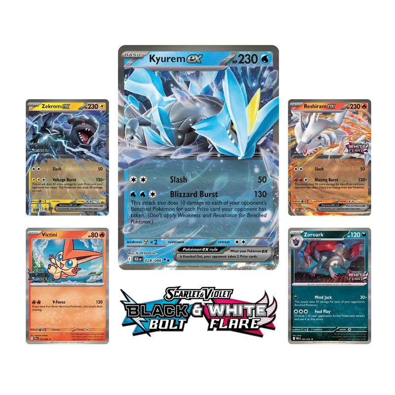 Pokémon TCG: Unova Heavy Hitters Premium Collection - EPIKKO Anime & Manga